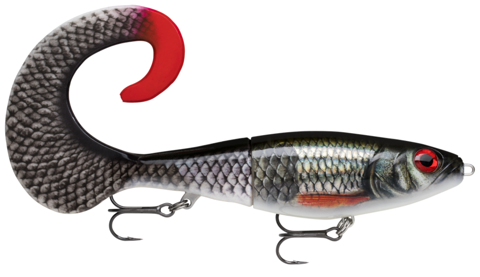 Rapala X-RAP Live Roach