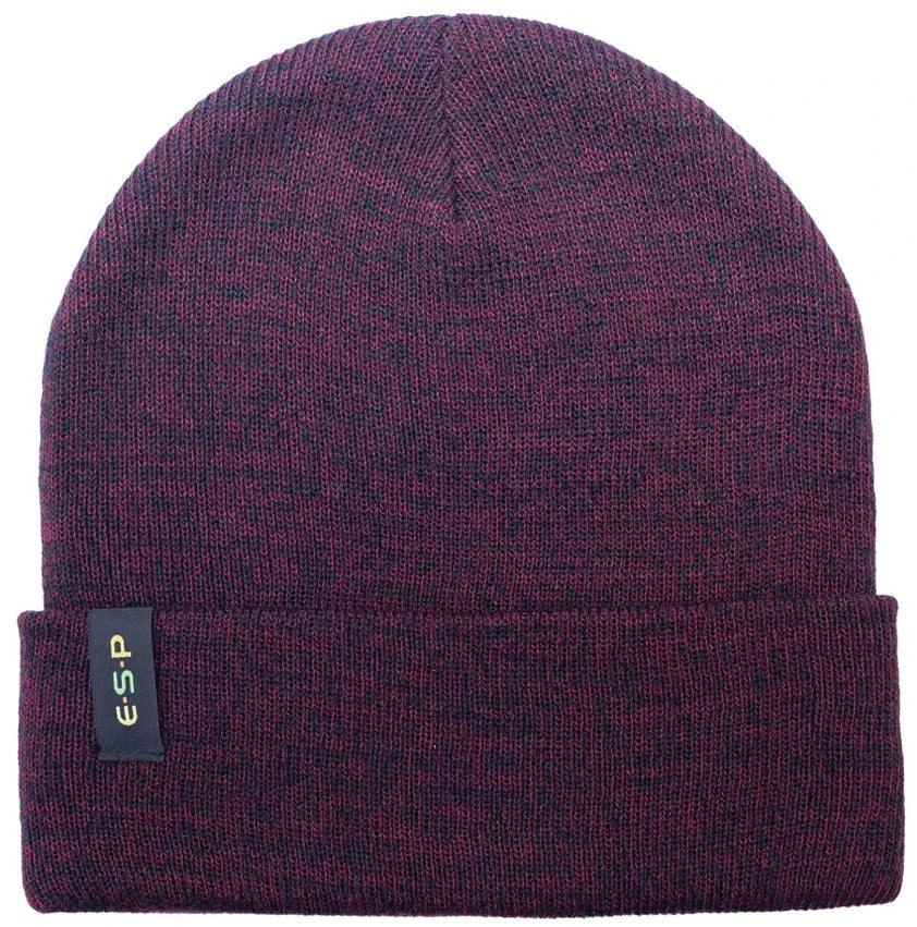 ESP beanie hat