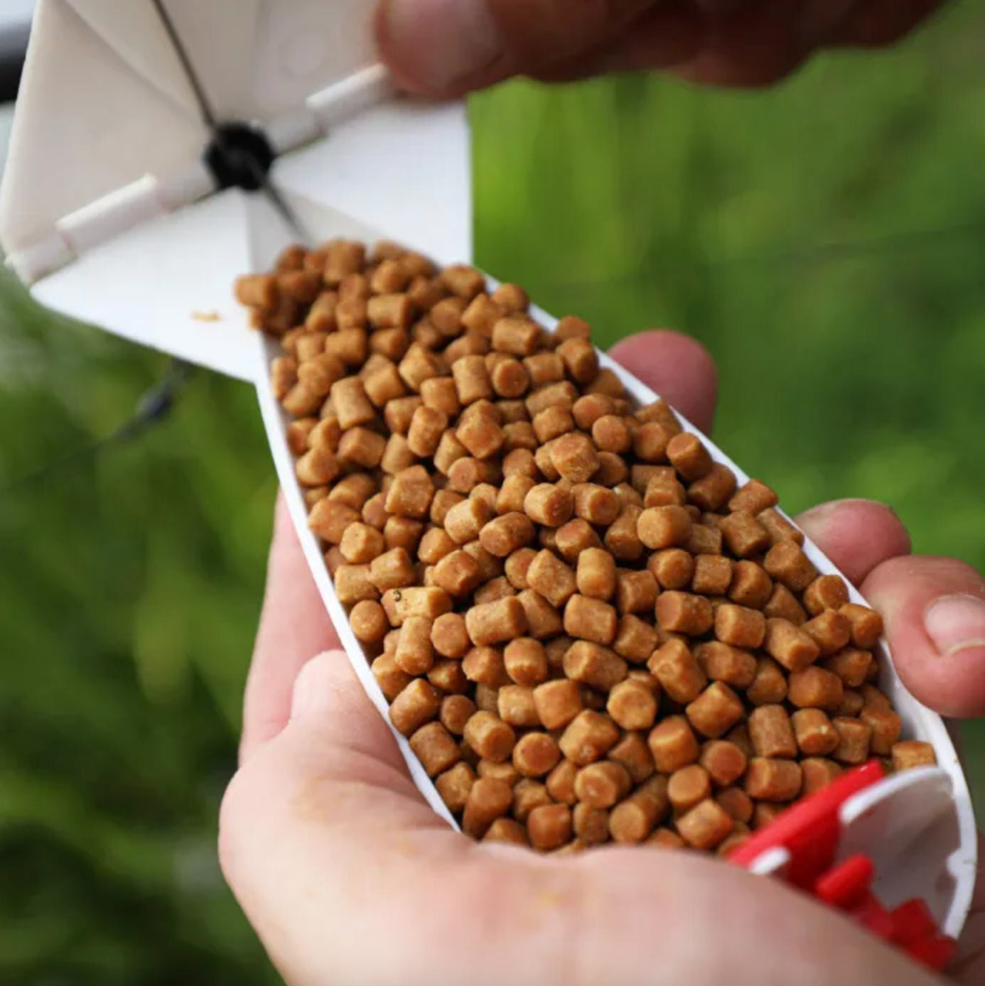 Sticky Baits Manilla Pellets