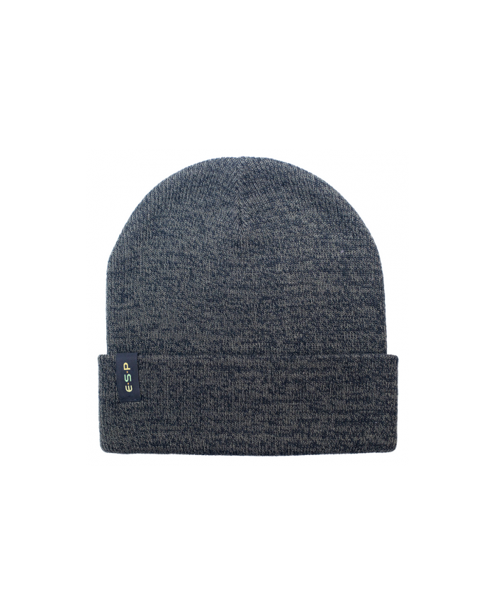 ESP beanie hat