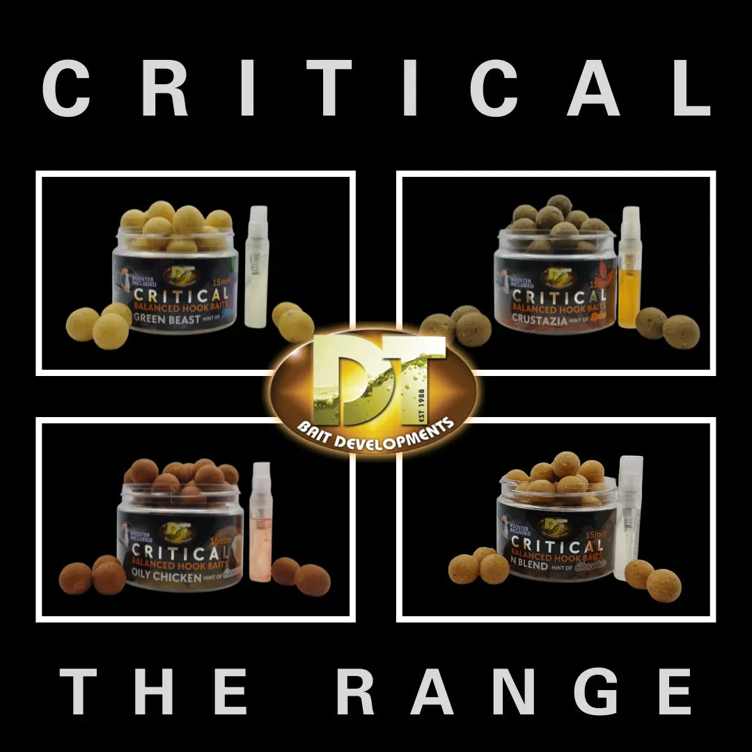 Dt baits critical balanced hook baits